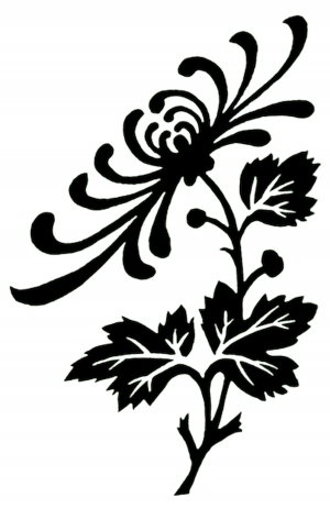 ModernBump Black And White