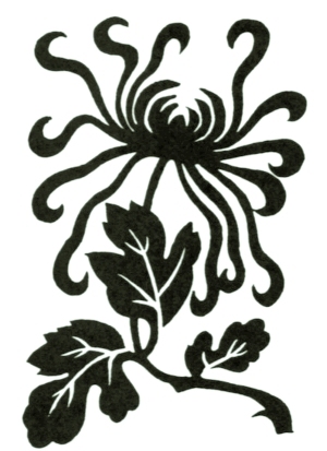 ModernBump Black And White