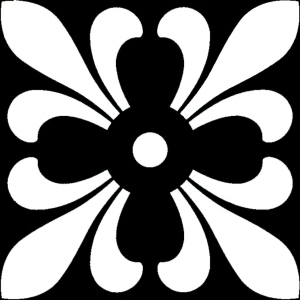 ModernBump Black And White