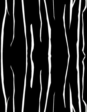 ModernBump Black And White