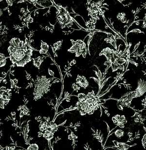 ModernBump Black And White