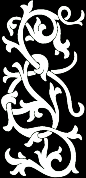 ModernBump Black And White