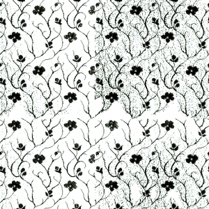 ModernBump Black And White