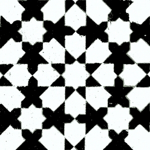 ModernBump Black And White