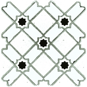 ModernBump Black And White