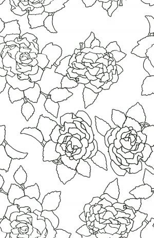 ModernBump Black And White