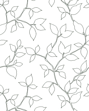 ModernBump Black And White