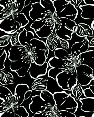 ModernBump Black And White
