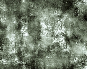 ModernBump Black And White