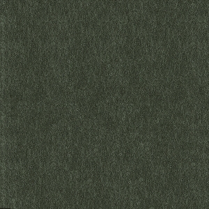 ModernBump Black And White