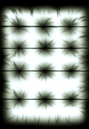 ModernBump Black And White