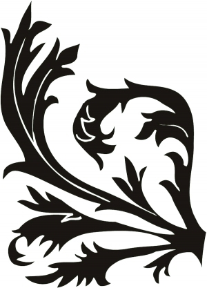 ModernBump Black And White