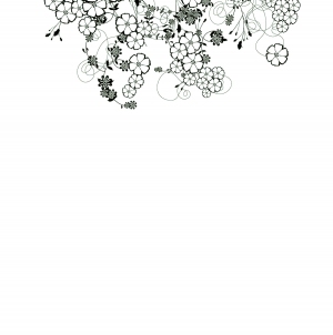 ModernBump Black And White