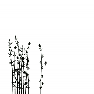 ModernBump Black And White