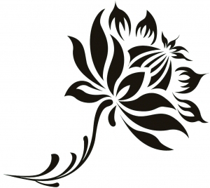 ModernBump Black And White