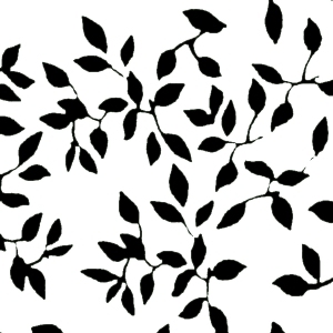 ModernBump Black And White