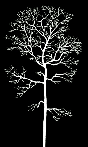 ModernBump Black And White