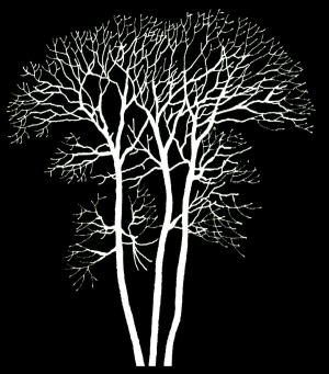 ModernBump Black And White