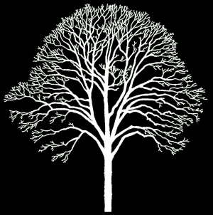 ModernBump Black And White