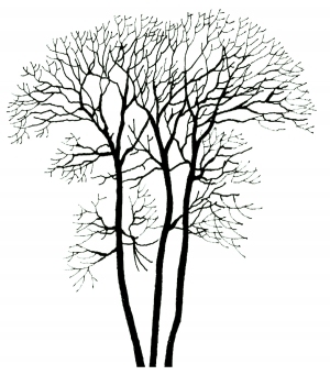 ModernBump Black And White