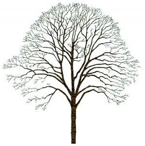 ModernBump Black And White