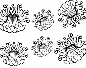 ModernBump Black And White