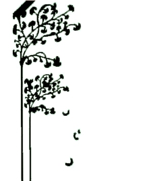 ModernBump Black And White