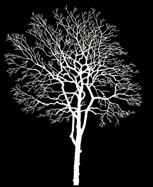 ModernBump Black And White