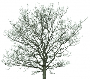 ModernBump Black And White