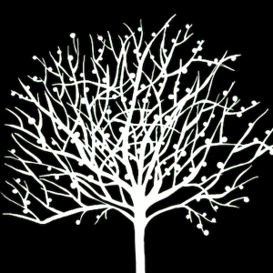 ModernBump Black And White