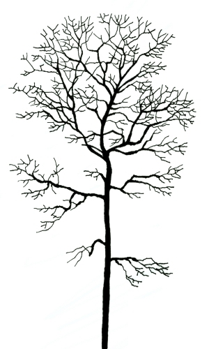 ModernBump Black And White