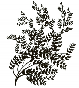 ModernBump Black And White