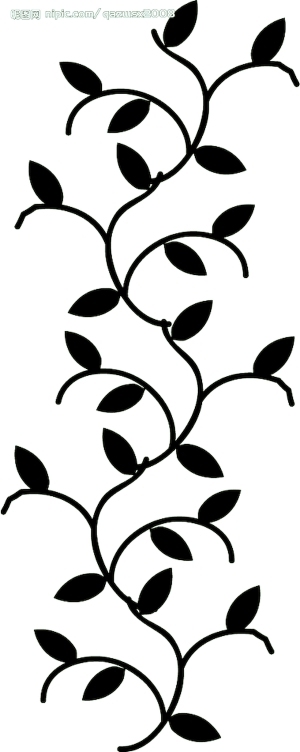 ModernBump Black And White