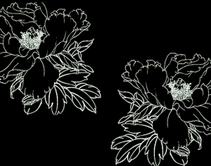 ModernBump Black And White