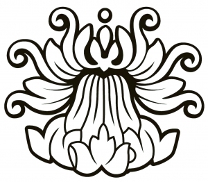 ModernBump Black And White