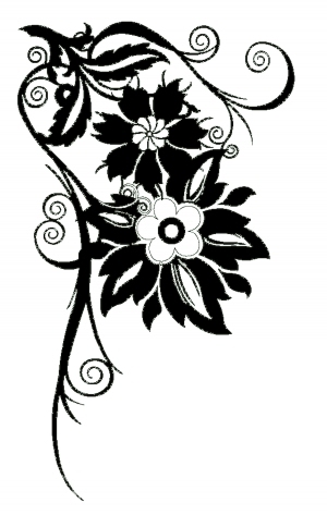 ModernBump Black And White