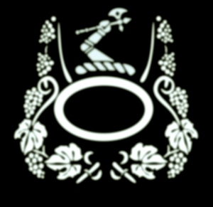 ModernBump Black And White