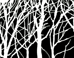 ModernBump Black And White