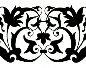 ModernBump Black And White