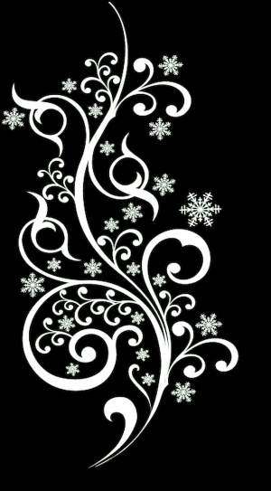 ModernBump Black And White