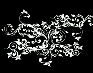 ModernBump Black And White