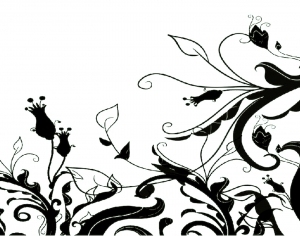 ModernBump Black And White