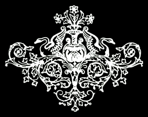 ModernBump Black And White