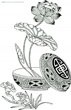 ModernBump Black And White