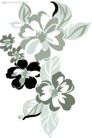 ModernBump Black And White