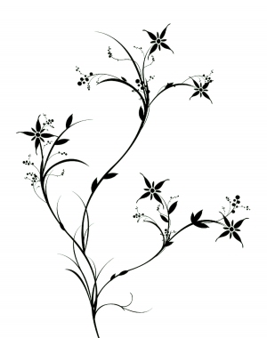 ModernBump Black And White