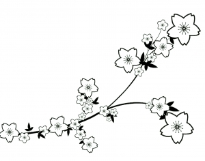 ModernBump Black And White