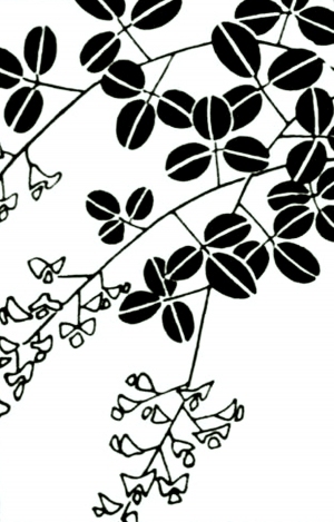 ModernBump Black And White