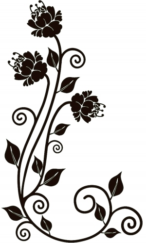 ModernBump Black And White