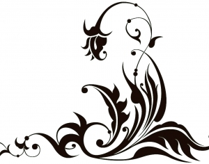 ModernBump Black And White